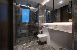 Cairnhill Nine (D9), Apartment #471346111